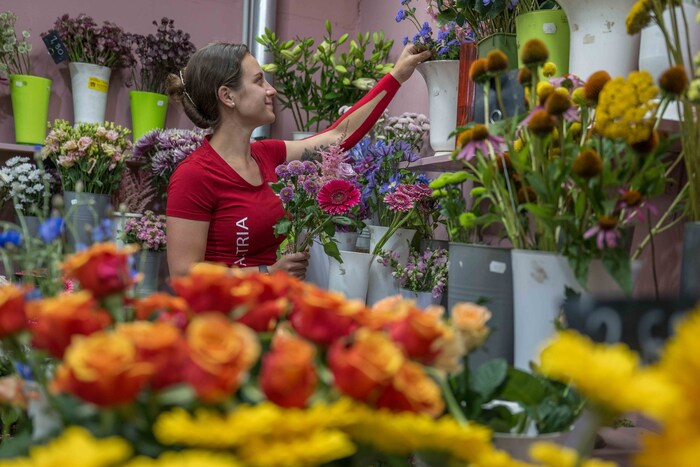 Floristin Sophie Bretterklieber trainiert für die Euroskills in Dänemark