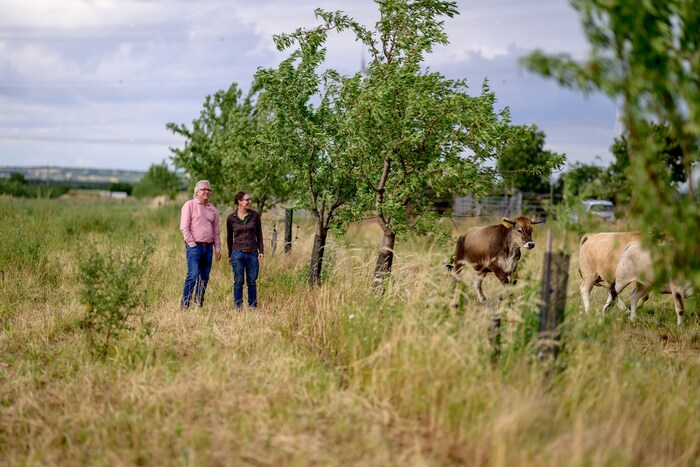 Familie Harbich in ihrem kleinen Öko-Paradies.