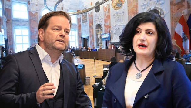 Auch in der Asylpolitik kommen Zeliha Aslan (Grüne) und Markus Abwerzger (FPÖ) auf keinen grünen ...