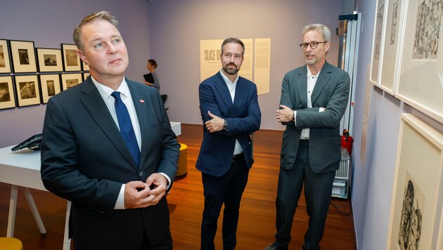 Vizekanzler Babler (li.) und Edtstadler-Vize Schnöll (M.) schlossen die Kooperation im ...