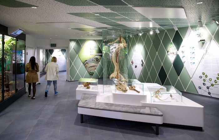 Das Haus der Natur soll nach den Plänen der Politik mit dem Naturhistorischen und dem ...