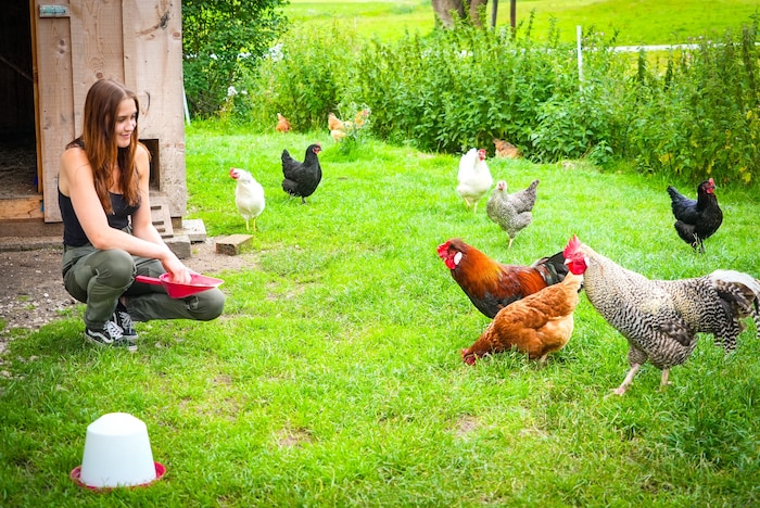 Aufopferungsvoll kümmert sich Kristina um die Tiere am Hof.