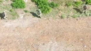 Russische Soldaten auf der Flucht vor einer ukrainischen Drohne. Wer nicht an der Front sterben ...