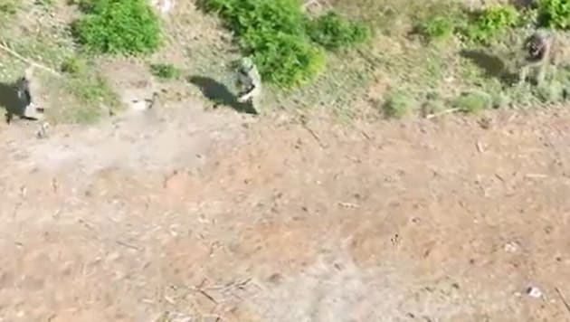 Russische Soldaten auf der Flucht vor einer ukrainischen Drohne. Wer nicht an der Front sterben ...