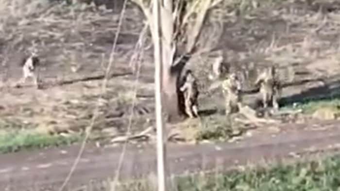 Dieses Bild zeigt russische Soldaten auf der Flucht vor einer Drohne, die wenig später ...