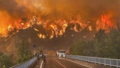 Neben abartigen Temperaturen machen Waldbrände den Menschen in der Türkei zu schaffen.