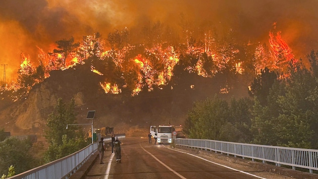 Neben abartigen Temperaturen machen Waldbrände den Menschen in der Türkei zu schaffen.