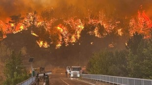 Neben abartigen Temperaturen machen Waldbrände den Menschen in der Türkei zu schaffen.