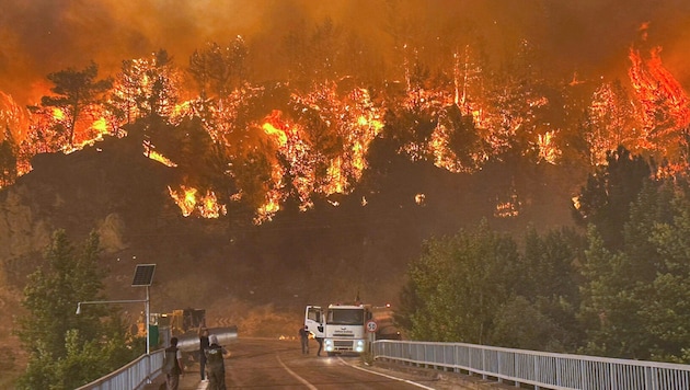 Neben abartigen Temperaturen machen Waldbrände den Menschen in der Türkei zu schaffen.