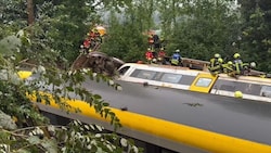 Das Zugunglück passierte mitten in einem bewaldeten Bereich.