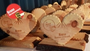 Bei einer feierlichen Gala werden die Preisträger ausgezeichnet: Für Einzelperson gibt es 1000 ...