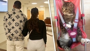 Das junge Wiener Pärchen trauert um den Familienkater „Olaf“.