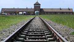 Am Montag jährt sich die Auschwitz-Befreiung zum 80. Mal. Im Parlament sowie am Heldenplatz ...