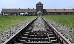 Am Montag jährt sich die Auschwitz-Befreiung zum 80. Mal. Im Parlament sowie am Heldenplatz ...