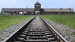 Am Montag jährt sich die Auschwitz-Befreiung zum 80. Mal. Im Parlament sowie am Heldenplatz ...