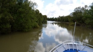Zum Unfall kam es bei der Einmündung zur Donau im Golf von Musura.