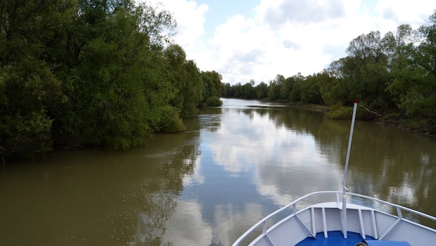 Zum Unfall kam es bei der Einmündung zur Donau im Golf von Musura.