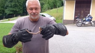 Schlangenexperte Werner Stangl war in Alarmbereitschaft. Er fand keine Kreuzotter, dafür aber ...