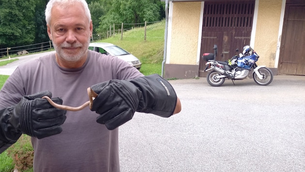 Schlangenexperte Werner Stangl war in Alarmbereitschaft. Er fand keine Kreuzotter, dafür aber ...