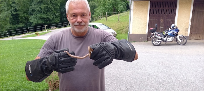 Reptilien- und Amphibienexperte Stangl sprach mit der „Krone“ über Schwierigkeiten bei der ...