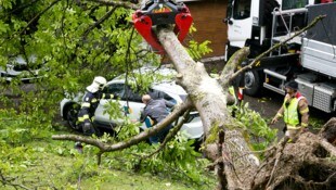 In Rankweil krachte ein alter Nussbaum auf ein Carport. Ein E-Auto wurde beschädigt. 
