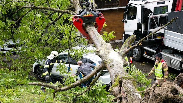 In Rankweil krachte ein alter Nussbaum auf ein Carport. Ein E-Auto wurde beschädigt.
