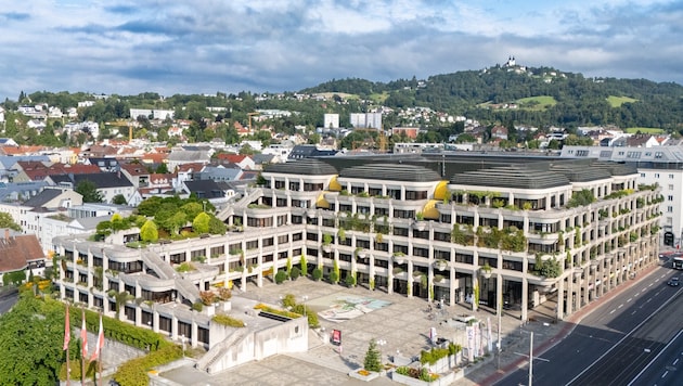 Trotz klammer Kassen werden in Linz Kunst- und Kulturprojekte, egal wie skurril sie auch ...