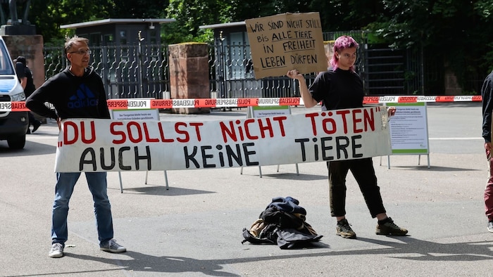 Demonstranten stehen mit Protestschildern vor dem Tiergarten Nürnberg.