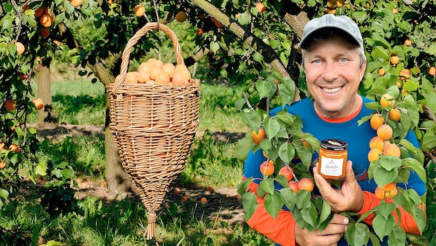 Selbst ist der Marillen- Erzeuger: Stefan Schauer steht im Bezirk Krems beinahe täglich auf der ...