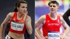 Susanne Gogl-Walli, Raphael Pallitsch