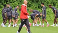 Salzburg-Trainer Thomas Letsch
