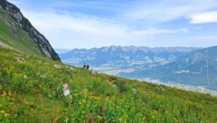 Blühende Alpwiesen und ein fantastischer Ausblick belohnen für die Mühen des Aufstieges.