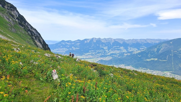 Blühende Alpwiesen und ein fantastischer Ausblick belohnen für die Mühen des Aufstieges.