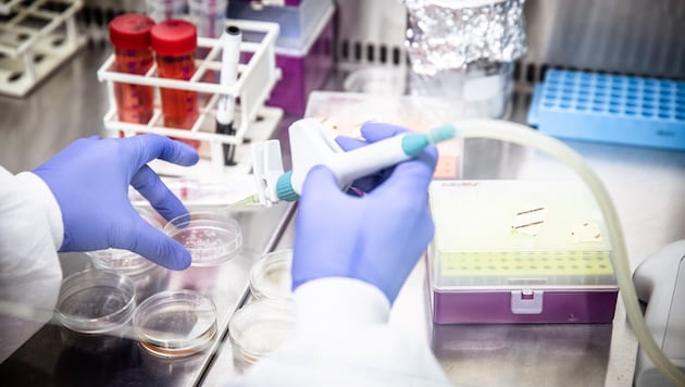 Ob Bio- oder Astrophysik: Am ISTA in Klosterneuburg will man in der Forschung wahre ...