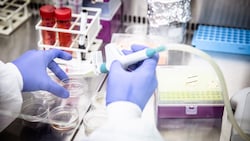 Ob Bio- oder Astrophysik: Am ISTA in Klosterneuburg will man in der Forschung wahre ...