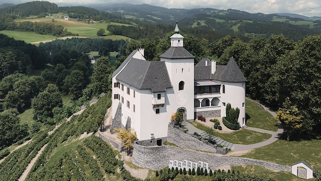 Schloss Thürn thront mächtig über den Weinbergen.