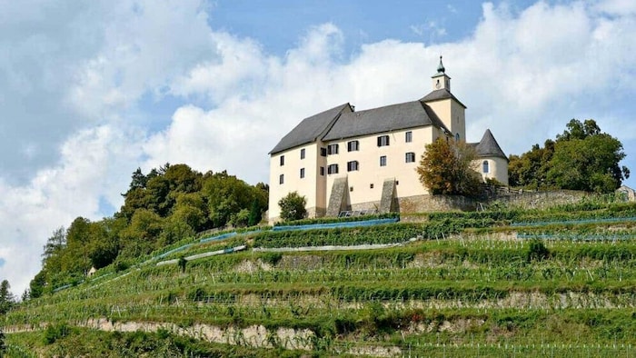Der Weinbau gehört zum Schloss.
