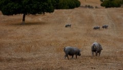 Viele der betroffenen Orte sind nicht an das überregionale Leitungsnetz angeschlossen.