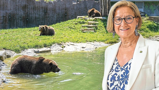 Keine Angst vor „großen Tieren“ – die Landeshauptfrau und ihr Patenbär.
