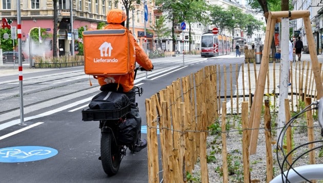 Verkehrsminister Peter Hanke will E-Mopeds und E-Scooter von Radwegen verbannen (Symbolbild).