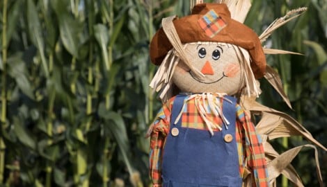 Geht es nach Forschern aus der Schweiz, haben solche Vogelscheuchen bald ausgedient: Die Zukunft ...