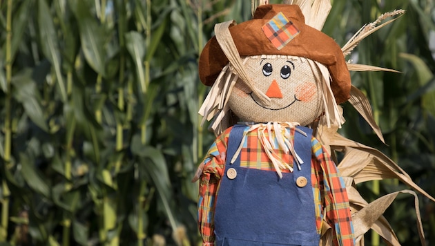 Geht es nach Forschern aus der Schweiz, haben solche Vogelscheuchen bald ausgedient: Die Zukunft ...