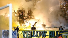 Auch die Vienna-Anhänger brennen auf die Bundesliga