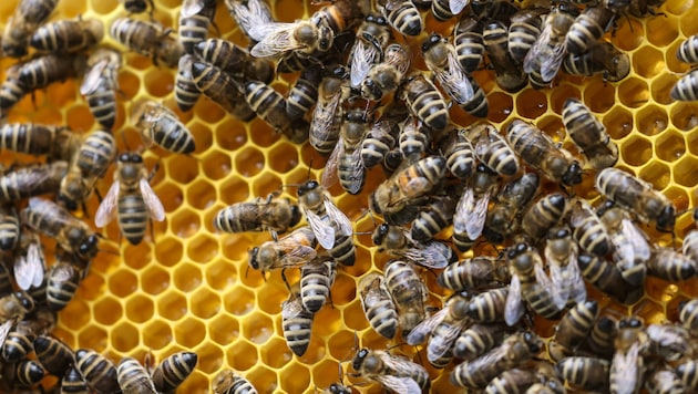 Im Tiroler Oberland kam es zu dem Diebstahl.
