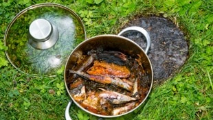 Das vergessene Essen – ein wenig zu kross angebraten. 