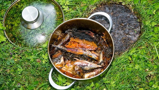 Das vergessene Essen – ein wenig zu kross angebraten.