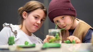 Abenteuer Wald mit kindgerechten Stationen zum Forschen