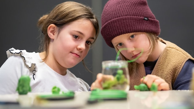 Abenteuer Wald mit kindgerechten Stationen zum Forschen