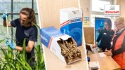 Geimpftes Saatgut, nachhaltige Schrauben und Nachhilfe in Sachen Finanzen. 