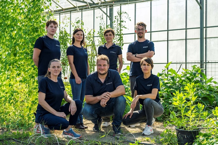 Ensemo-Team: Hanna Wolf, Lisa Ohler, Birgit Mitter und Nicolas Gerstenmayer (hinten v.l.n.r.), ...